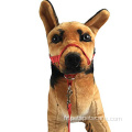 Ensemble de harnais de chien en nylon durable (SPH7019)